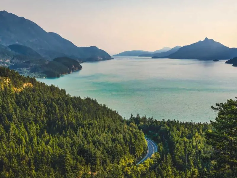 Softail Breakout takalokasuoja