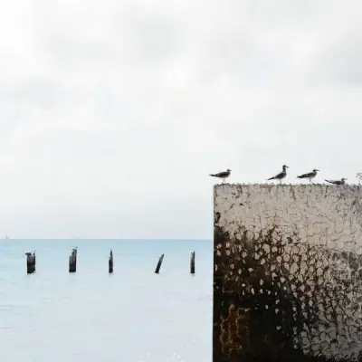 Road Glide S&S kaasutin Super E