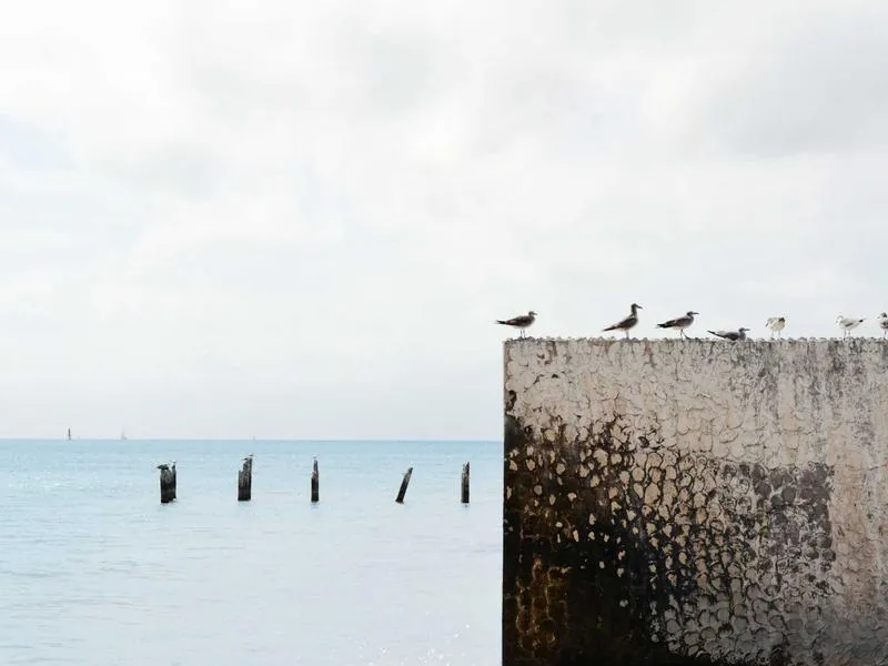 Road Glide S&S kaasutin Super E