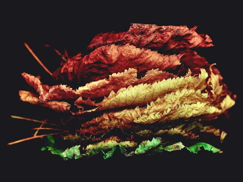 Touring jarrupalat edessä + takana