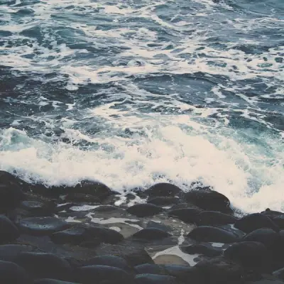 Road King tavarateline OEM