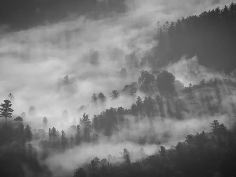 Iron 883 jalkatuet eteenpäin