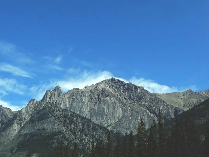 Ostetaan: Electra Glide nopeusmittari