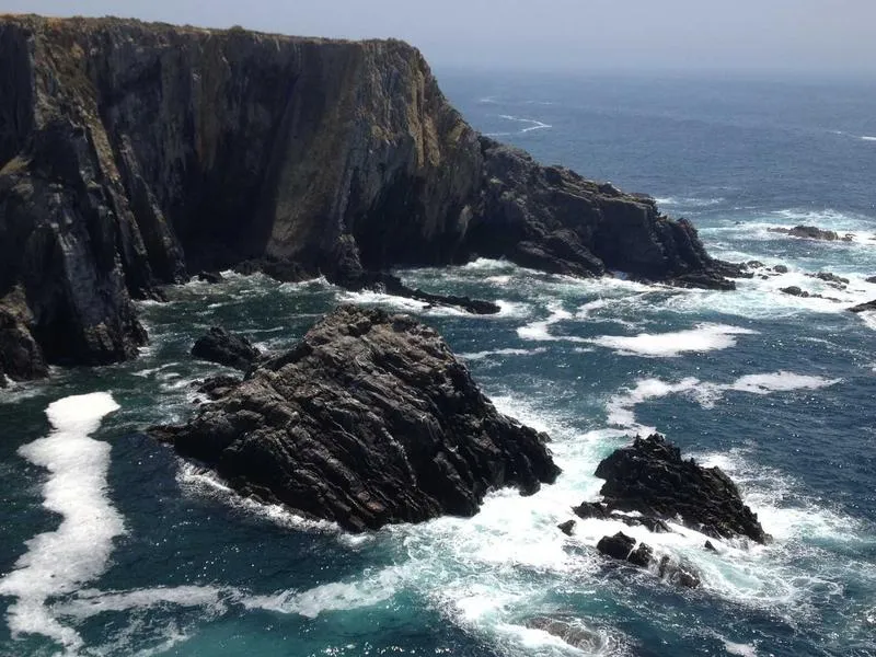 Street Bob 2019 tiivistesarja yläpää