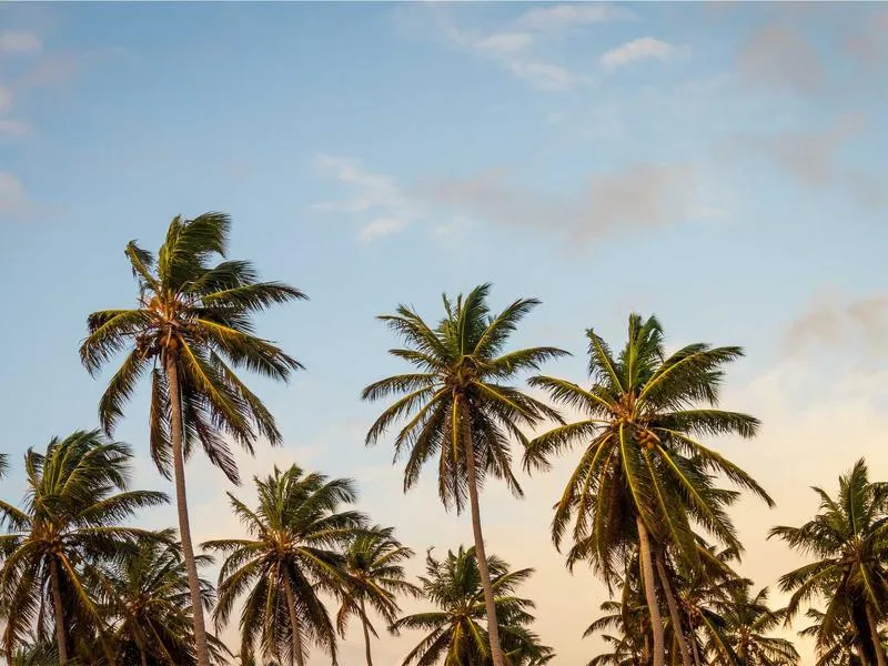 Road Glide ruiskutusjärjestelmä tuunaus