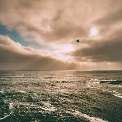 Ostetaan: Street 500/750 heiluri