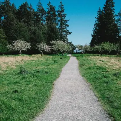 Softail Breakout istukannen jouset