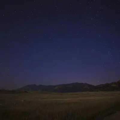 Ostetaan: Softail tankki 2018+