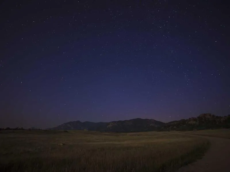 Ostetaan: Softail tankki 2018+