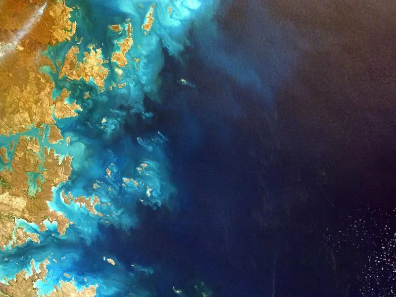 Sportster Iron 883 sissy bar + selkänoja